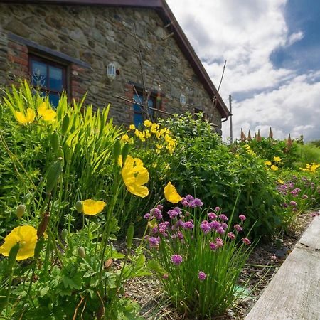 Tyn Rhos Country House Карнарвон Экстерьер фото